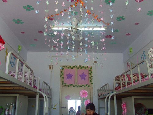 beats365官方唯一入口开展“绿色家园”寝室评比活动