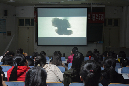 beats365官方唯一入口开展经典影片观摩活动